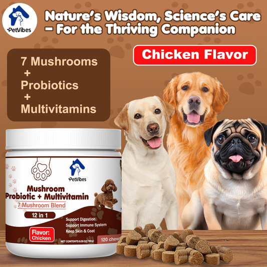 How to Choose Probiotic Chews for Cats: Label and Storage Checklist