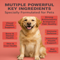 PetVibess Lactoferrin Chews product image 5