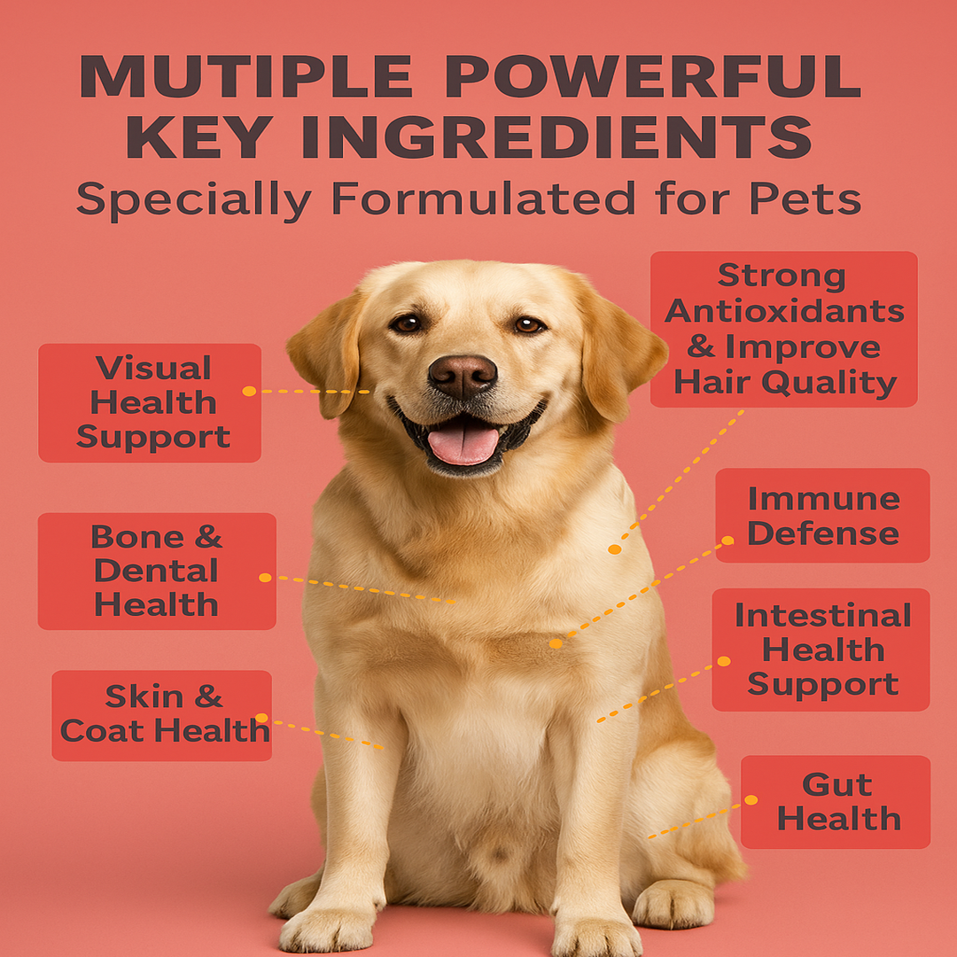 PetVibess Lactoferrin Chews product image 5