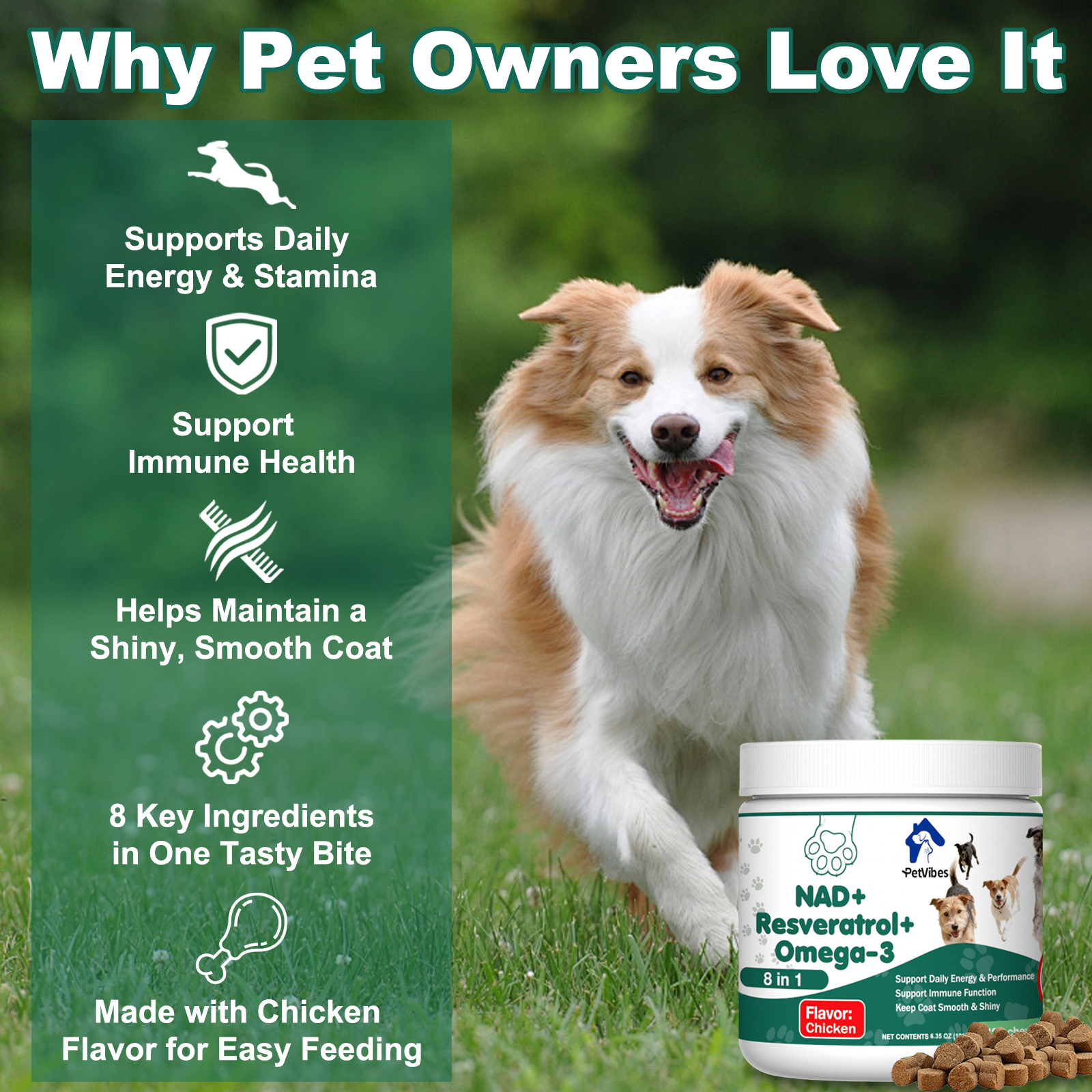 PetVibess NAD+ Chews product image 3