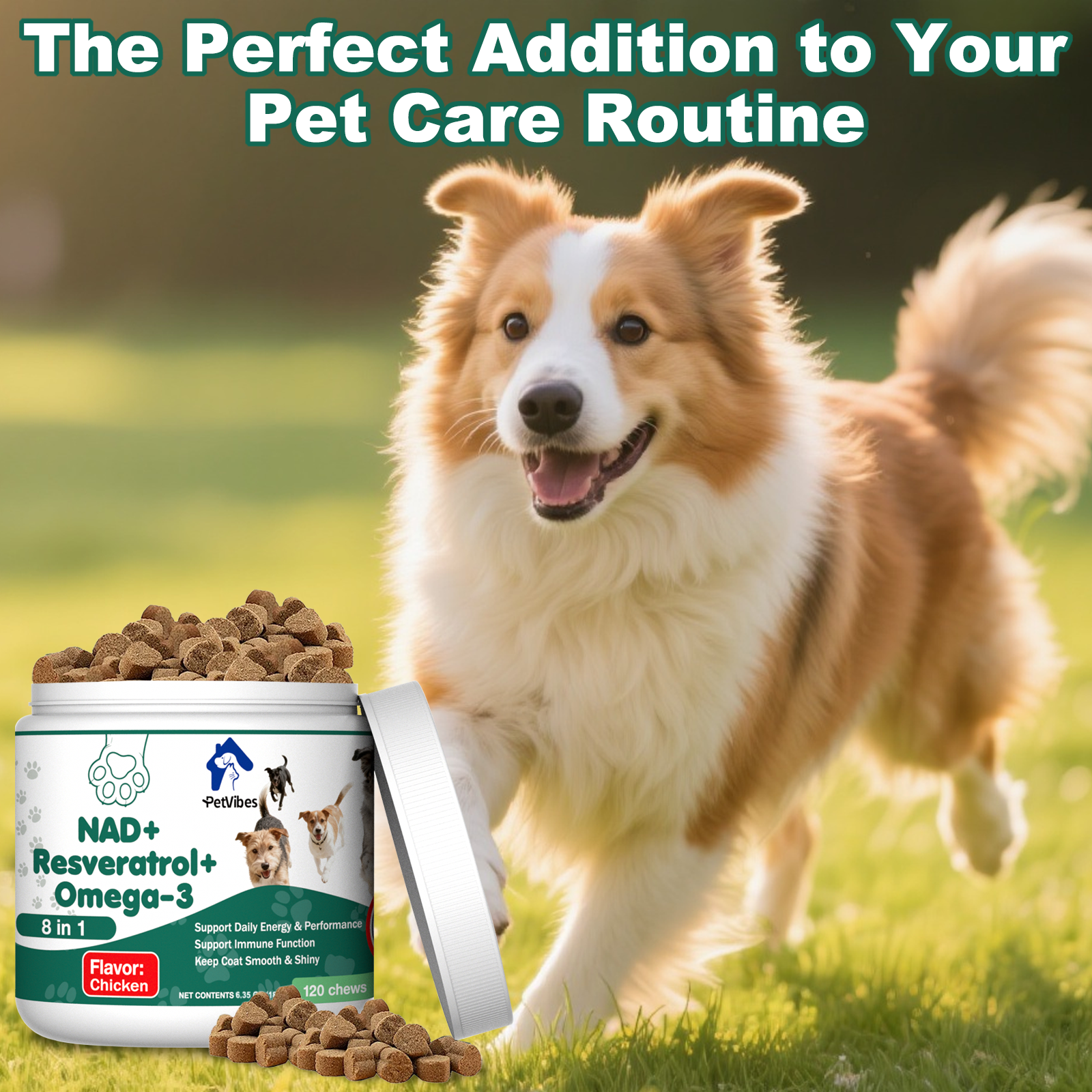 PetVibess NAD+ Chews product image 6