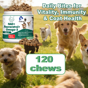 PetVibess NAD+ Chews product image 1