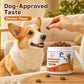 PetVibes Dog Multivitamin Chews with Lactoferrin - 6 in 1 Immune Support, Heart & Brain Function - Chicken Flavor Soft Chews, 120 Chews (10.6 oz)