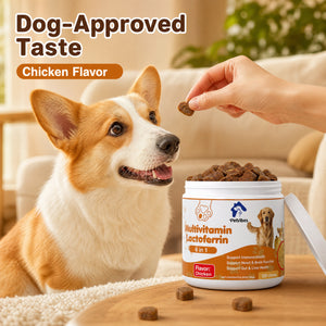 PetVibes Dog Multivitamin Chews with Lactoferrin - 6 in 1 Immune Support, Heart & Brain Function - Chicken Flavor Soft Chews, 120 Chews (10.6 oz)