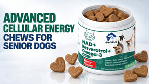 PetVibess NAD+ Chews by PetVibess, front product view